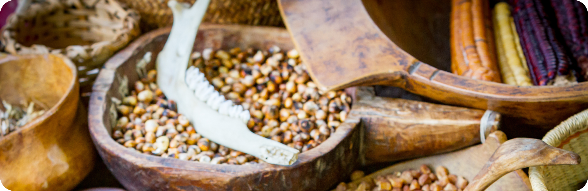 Celebrate Native American Heritage Month at the office