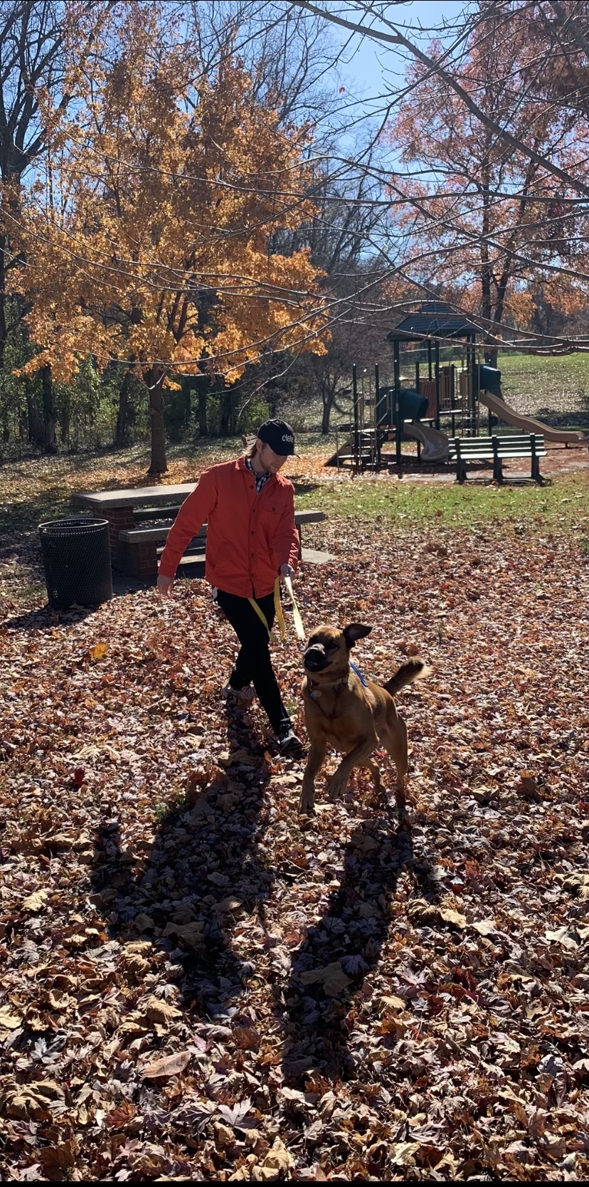 Timmy walk Timmy walk