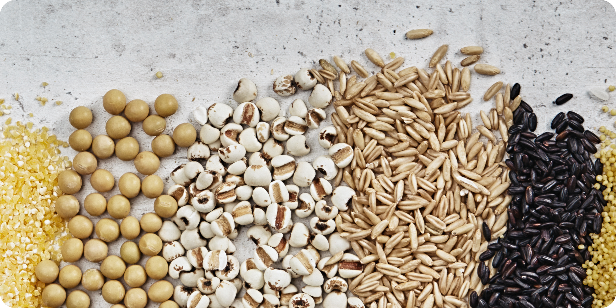 Sustainable Grains Are Shaping the Future of Food